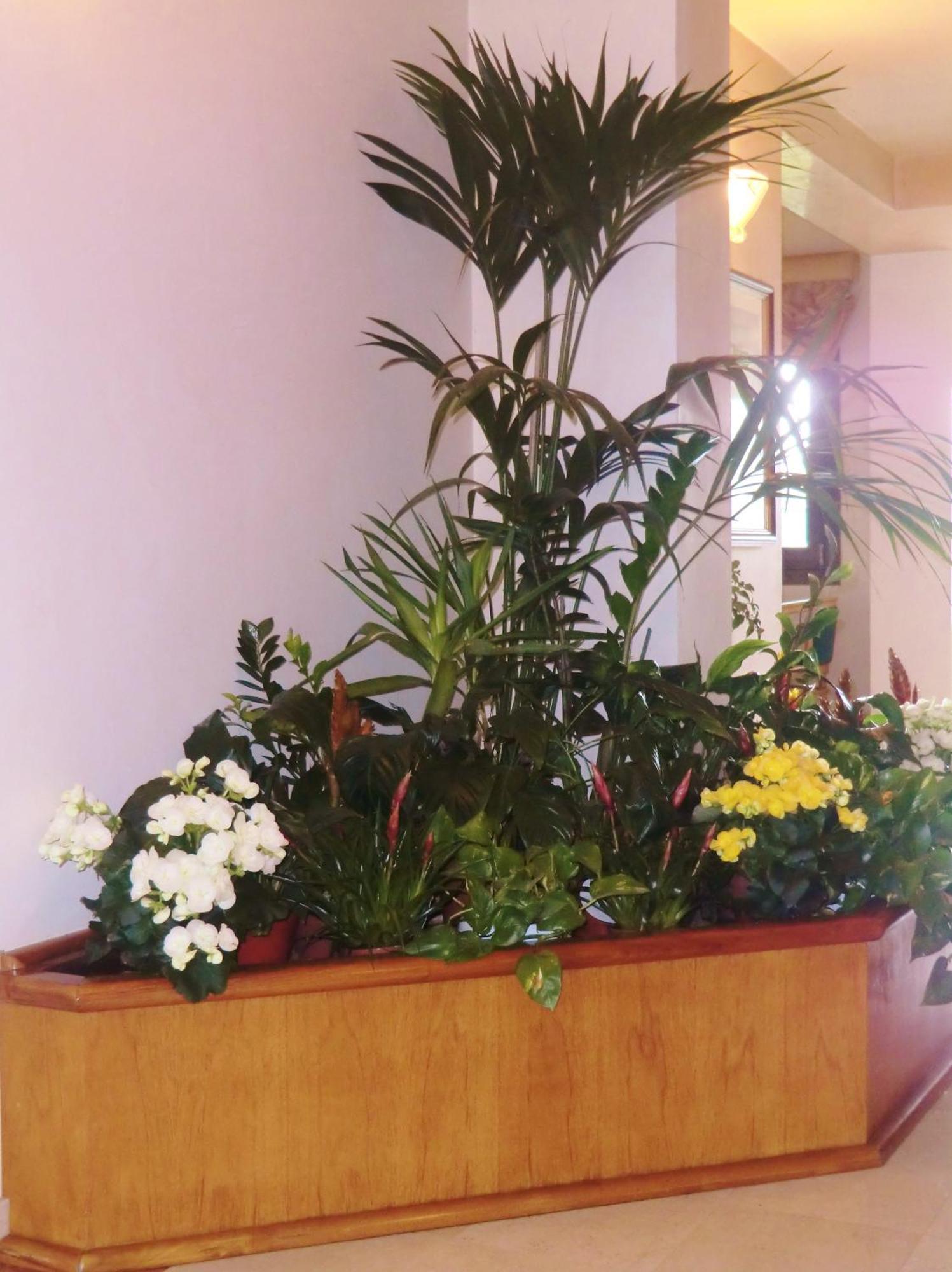 Hotel Luna Vigonovo  Kültér fotó