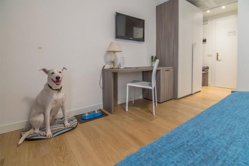 Hotel Luna Vigonovo  Kültér fotó