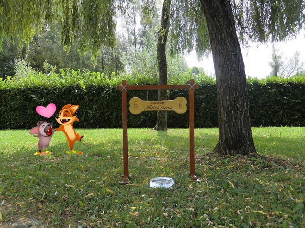 Hotel Luna Vigonovo  Kültér fotó